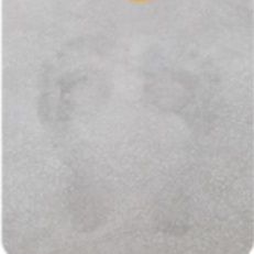 https://fulmo-img-server.com/kitchen-mart/1759331620550_lpb8deqp_q7zucue1.jpeg