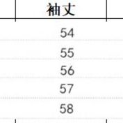 レース 服 夏の新作長袖総レースワンピース