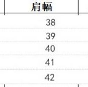 レース 服 夏の新作長袖総レースワンピース