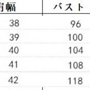 レース 服 夏の新作長袖総レースワンピース