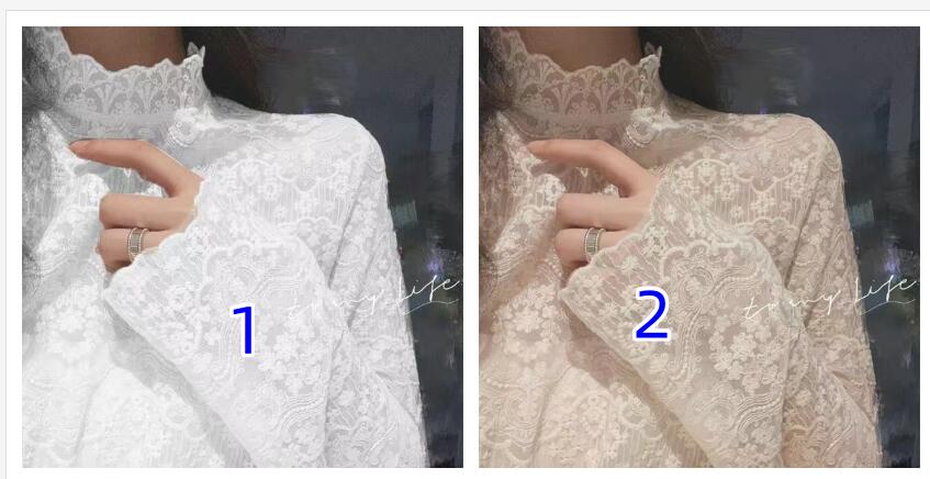 レース 服 立ち襟レース長袖ブラウス個性的トップス