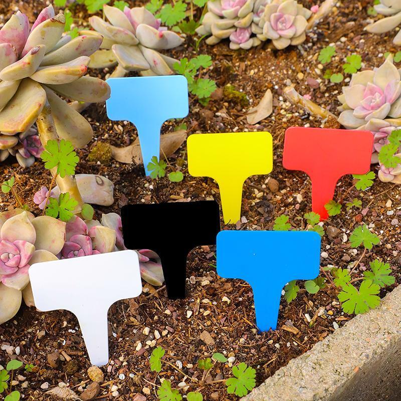 ガーデニング 多肉植物用 整理ピック