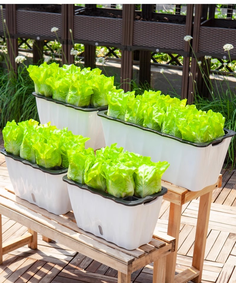 ガーデニング 自給自足の野菜育成プランター