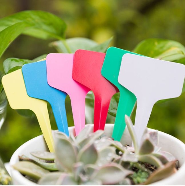 ガーデニング 植物お名前札 ティータイプ