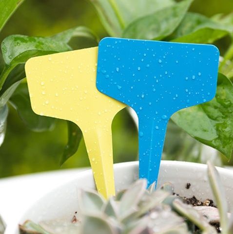 ガーデニング 植物お名前札 ティータイプ