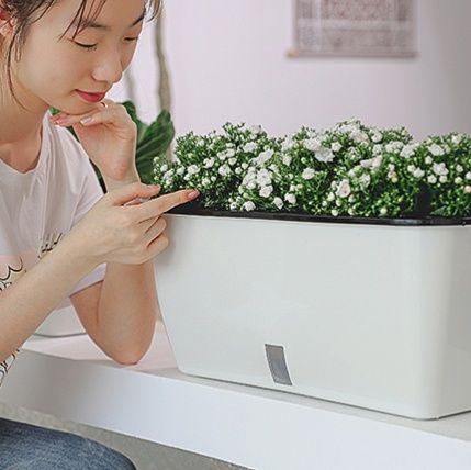 ガーデニング 自吸水式らくらくプランター