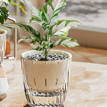 ガーデニング クリスタルカット観葉植物プランター