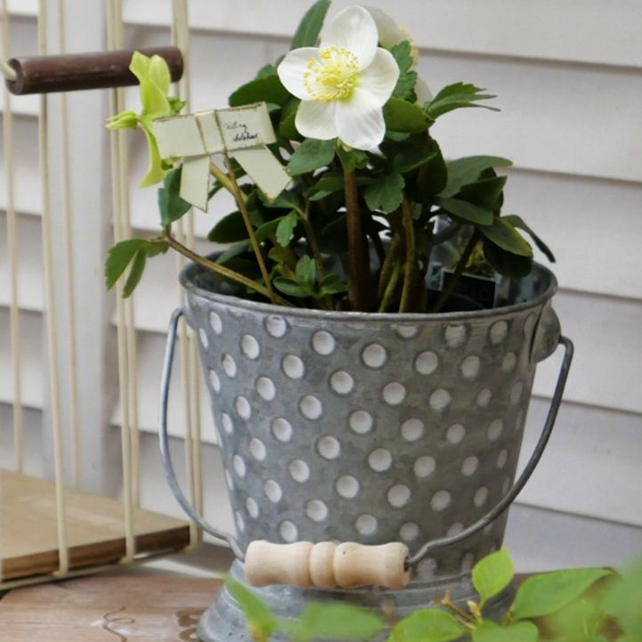 ガーデニング 水玉模様の金属製バケツ型プランター