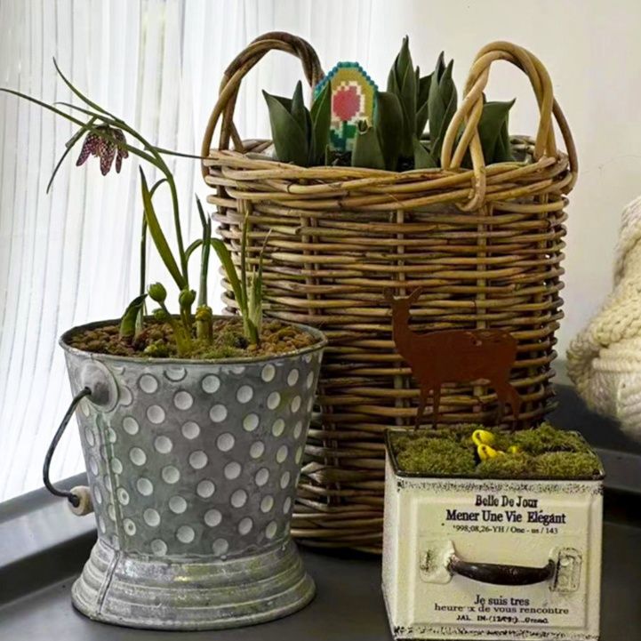 ガーデニング 水玉模様の金属製バケツ型プランター