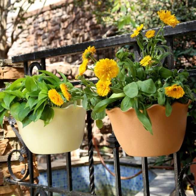 ガーデニング 壁掛け式波型縁取り丸型プランター