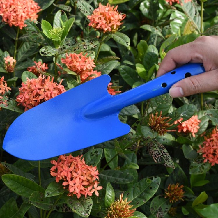 ガーデニング 園芸作業用カラフル小型スコップ