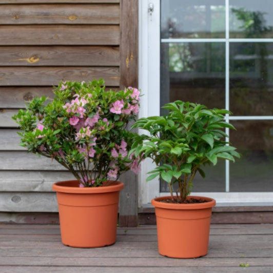 ガーデニング シンプル円形樹木栽培プランター