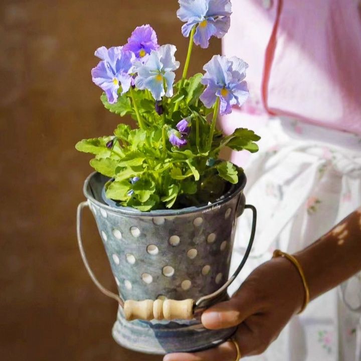 ガーデニング 水玉模様の金属製取っ手付きバケツ型植木鉢