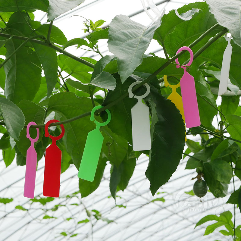 ガーデニング 植物名札リング付きガーデンピック