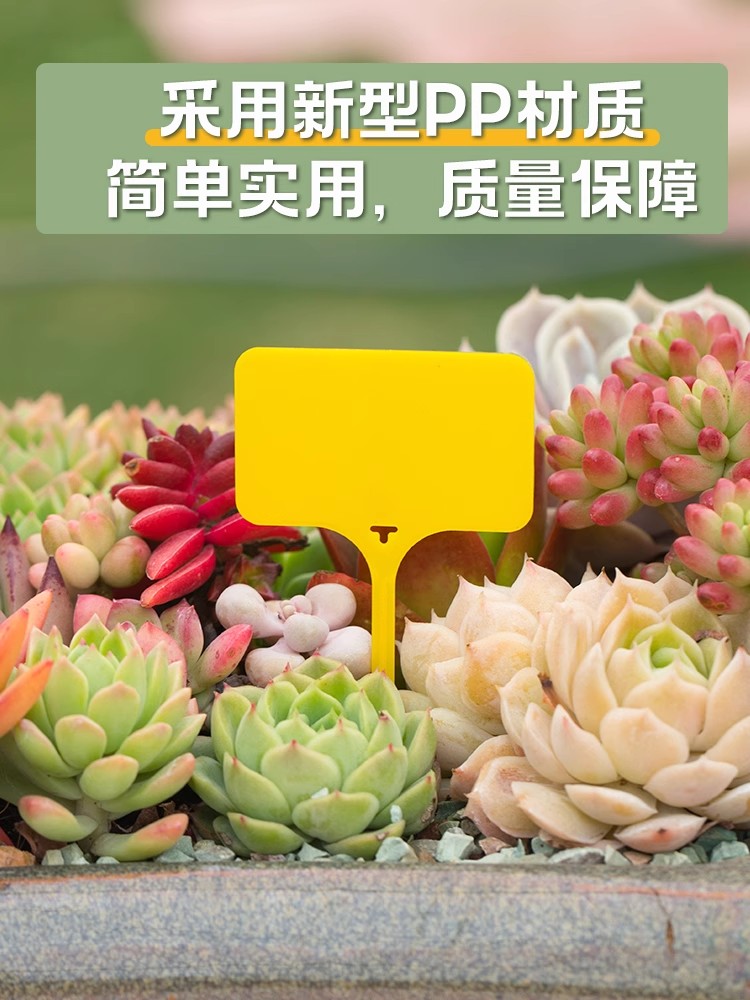 ガーデニング 多肉植物用ネームピック