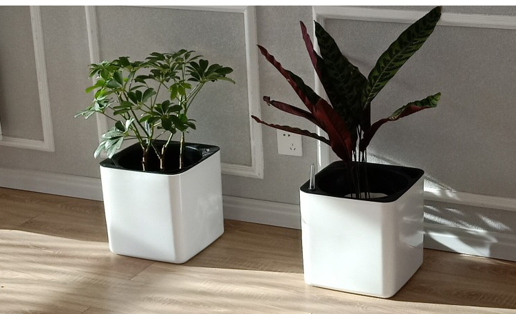 ガーデニング キューブスタイル 観葉植物プランター