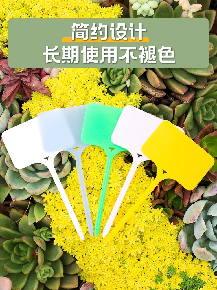 ガーデニング 多肉植物用ネームピック