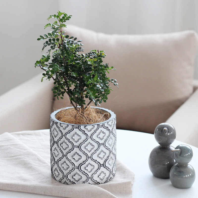 ガーデニング モロッコ風幾何学模様の陶器製プランター