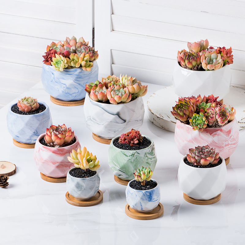 ガーデニング 大理石風多肉植物プランター