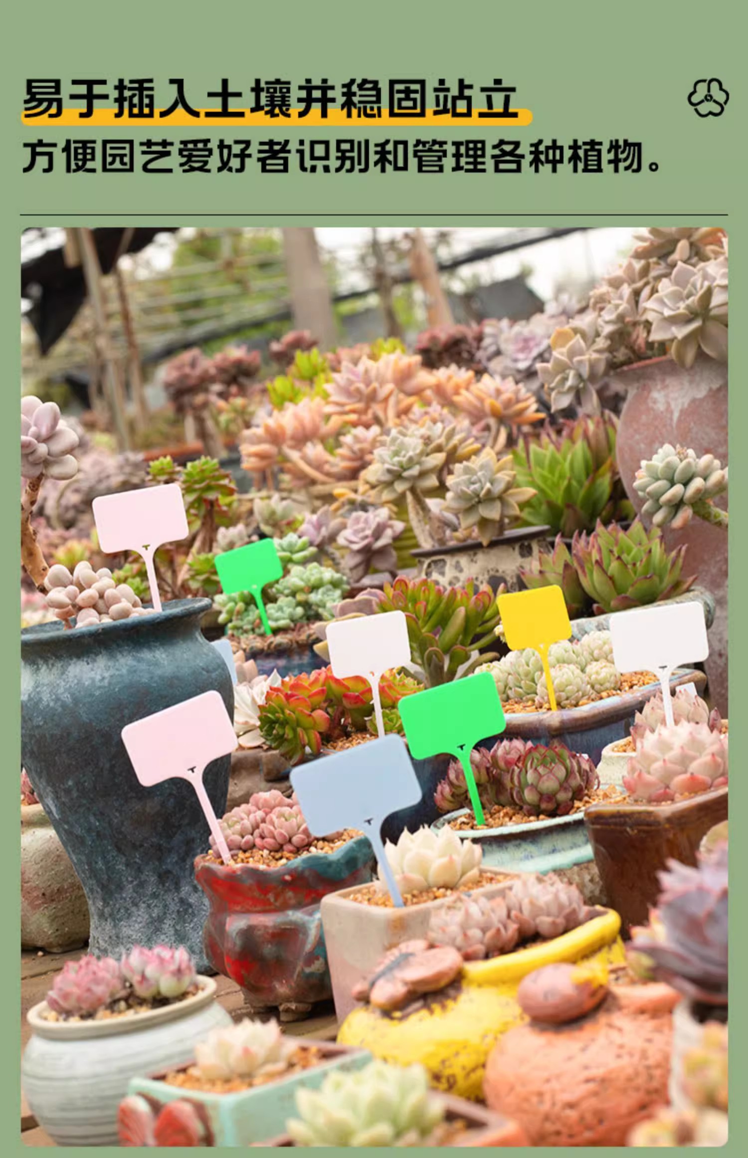 ガーデニング 多肉植物用ネームピック