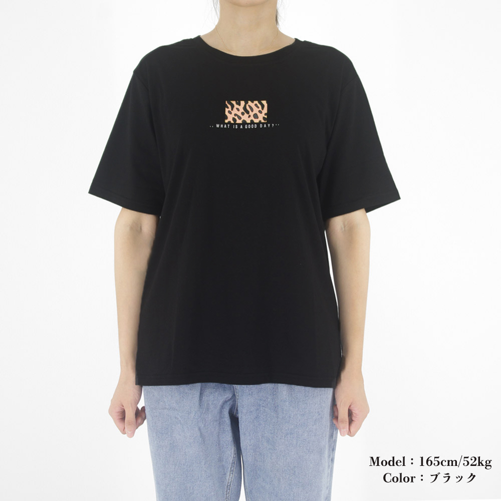 https://fulmo-img-server.com/leopal/122d723f-9943-4635-92dc-1aae9e1dca50.jpg