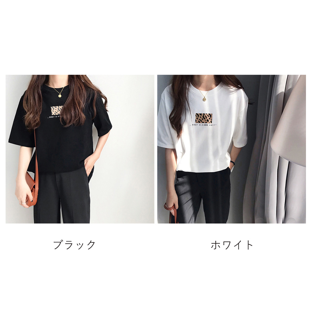 https://fulmo-img-server.com/leopal/2dc7eca4-01c8-44ab-915a-fc41fa851f86.jpg