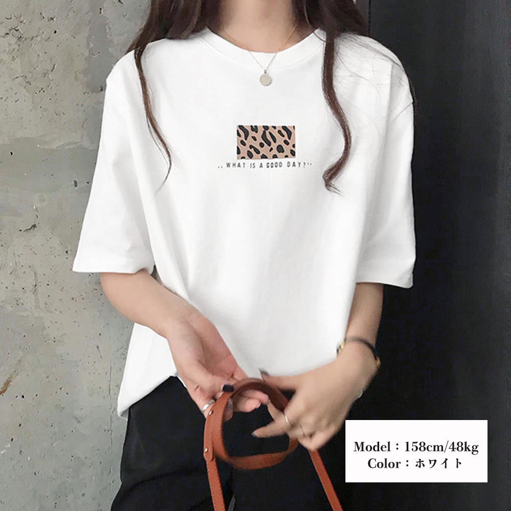 https://fulmo-img-server.com/leopal/a463aaf4-a2b9-4452-8c5d-8ae54c0c5a67.jpg