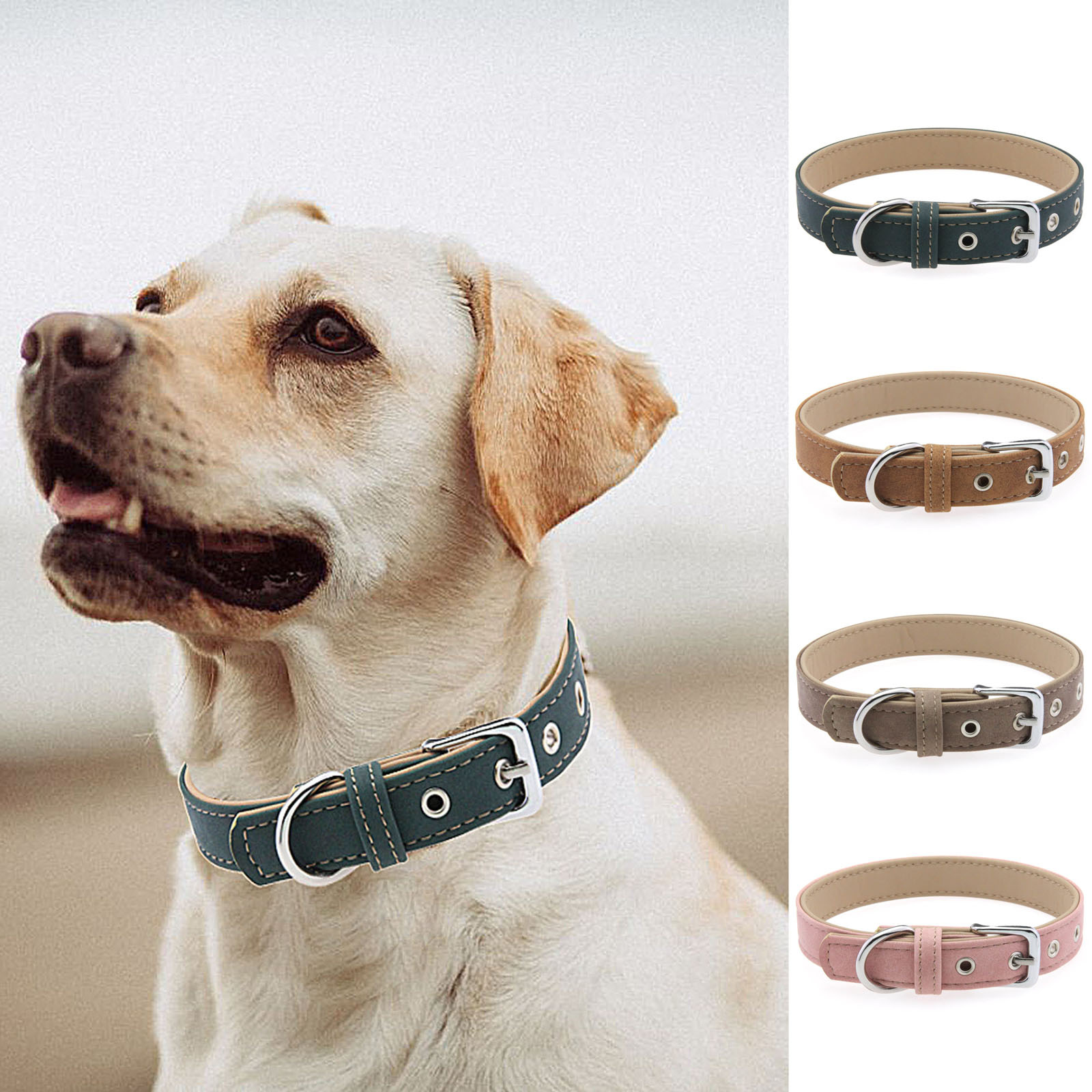 犬首輪 本革ステッチ装飾付き丸型金具犬首輪