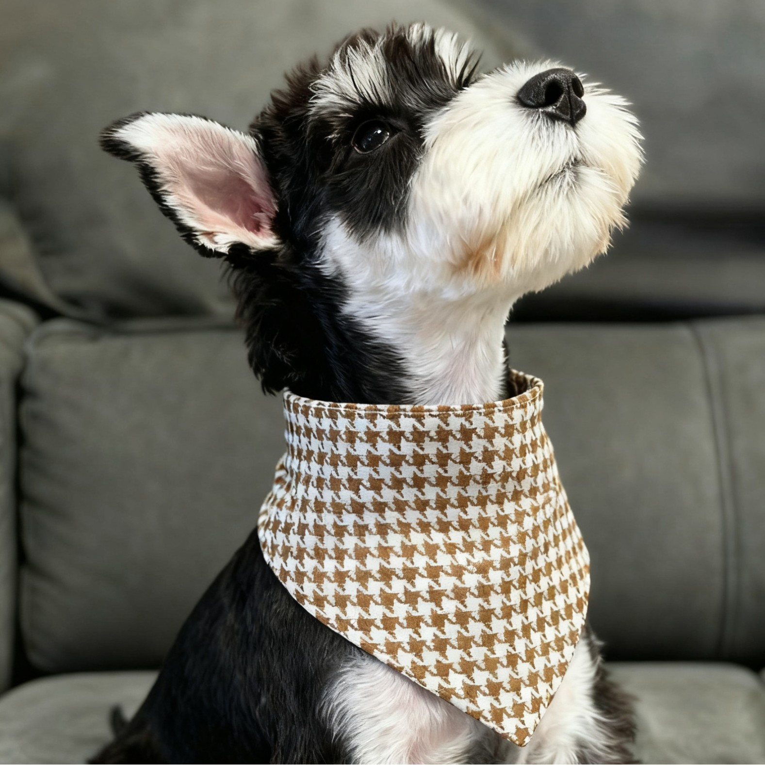 犬首輪 千鳥格子柄スカーフ風犬首輪バンダナ