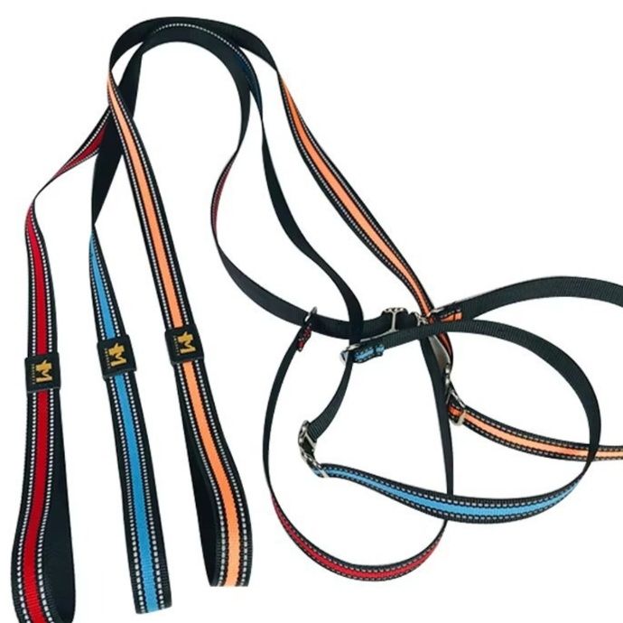 犬首輪 反射ライン入り犬首輪とリードセット