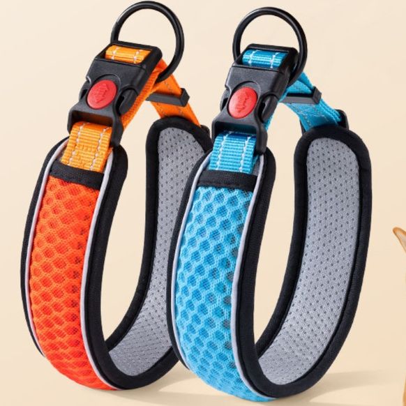 犬の首輪で痛くないタイプおすすめ5選！愛犬の負担を軽減して快適な散歩を実現