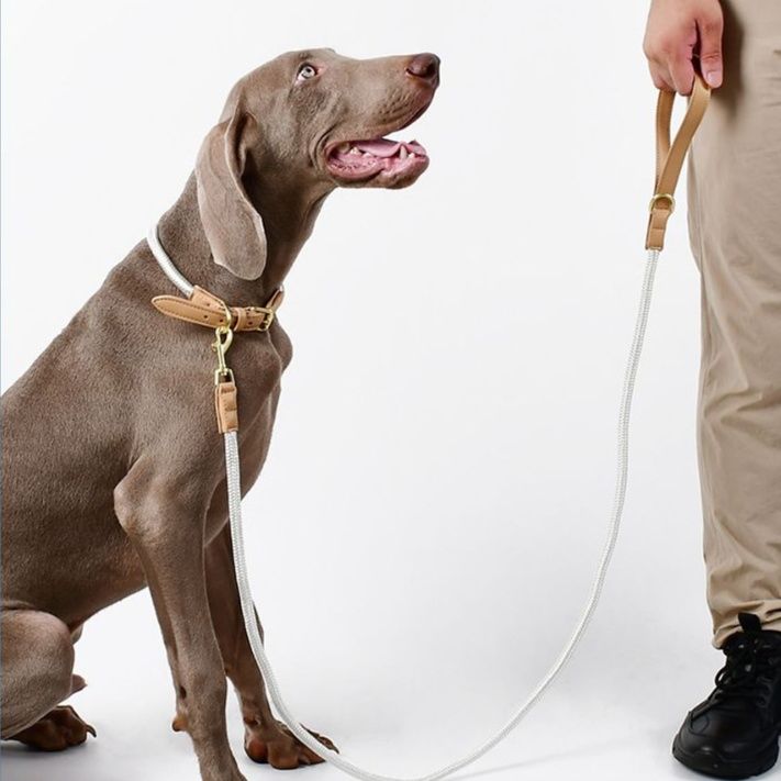 犬首輪 本革レザーとロープ素材の上品な犬首輪とリードセット