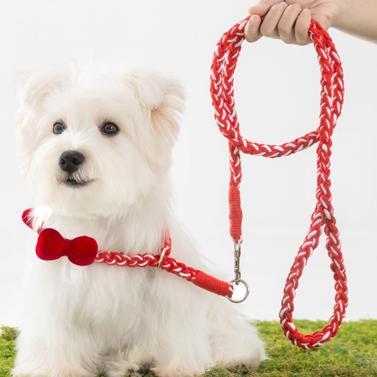 犬首輪 蝶ネクタイ付き編み込み犬首輪とリードセット