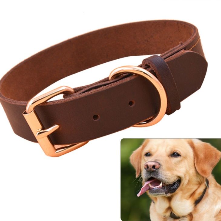 犬首輪 本革一枚仕立て金具付き