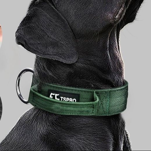 犬首輪 大型犬用合金バックル太め首輪