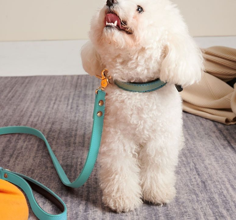 犬首輪 本革二重仕立て上質犬首輪金具付き