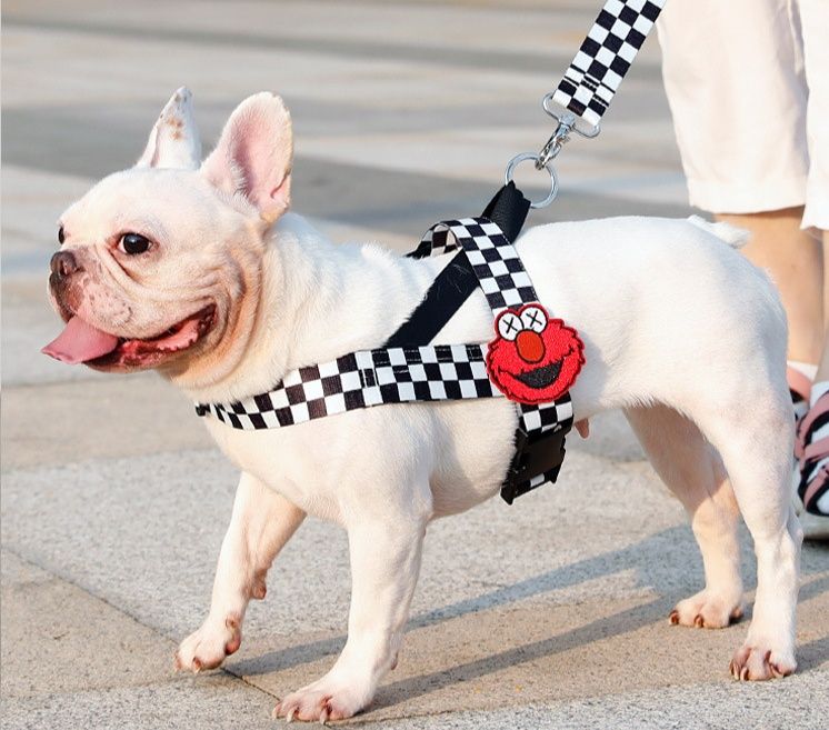 犬首輪 市松模様刺繍ワッペン付き犬用ハーネスリードセット