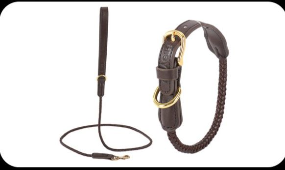 犬首輪 編み込みデザイン本革犬首輪とリードセット