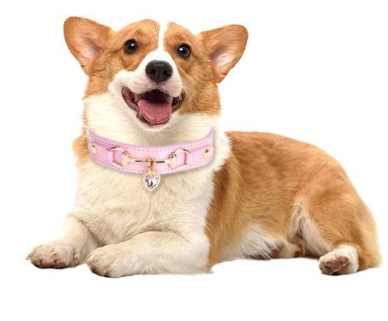 ハート型宝石チャーム付き犬首輪ビーズ装飾