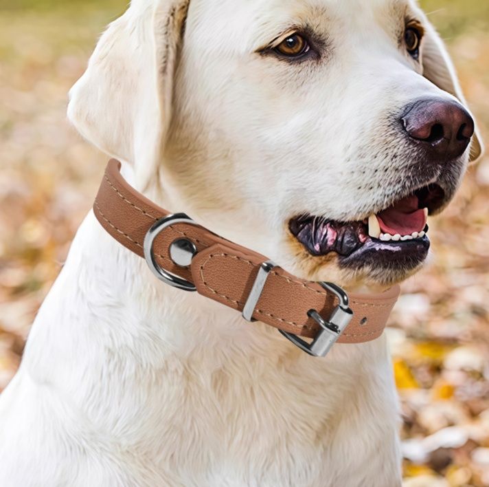 犬首輪 軽量合成皮革首輪シンプルデザイン