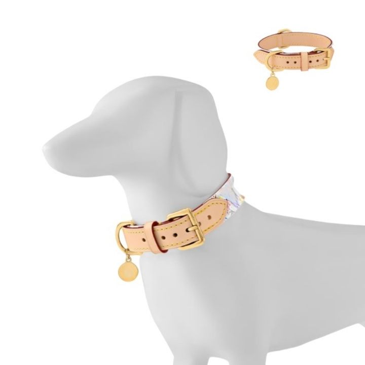 犬首輪 リード付き本革ベーシック犬首輪