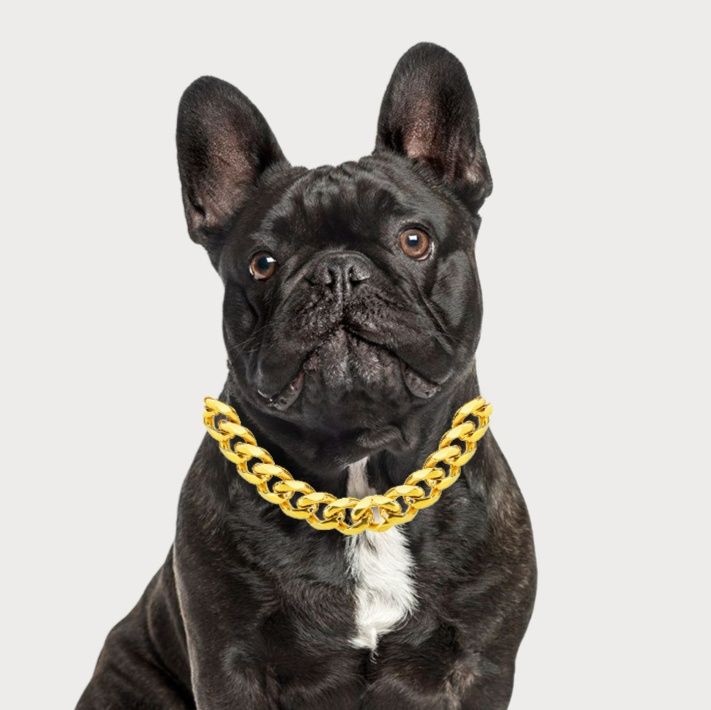 犬首輪 高級感あふれる太喜平チェーン犬首輪
