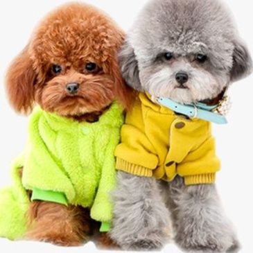  スタッズ付き軽量合成皮革犬首輪