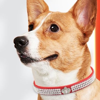 犬首輪 煌めきラインストーン装飾犬首輪