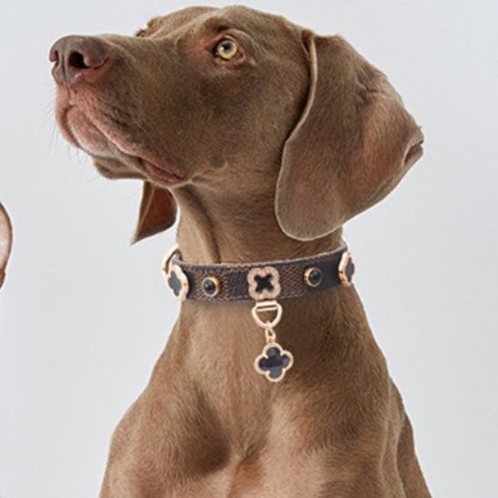 犬首輪 四つ葉チャーム付き花柄装飾革製犬首輪