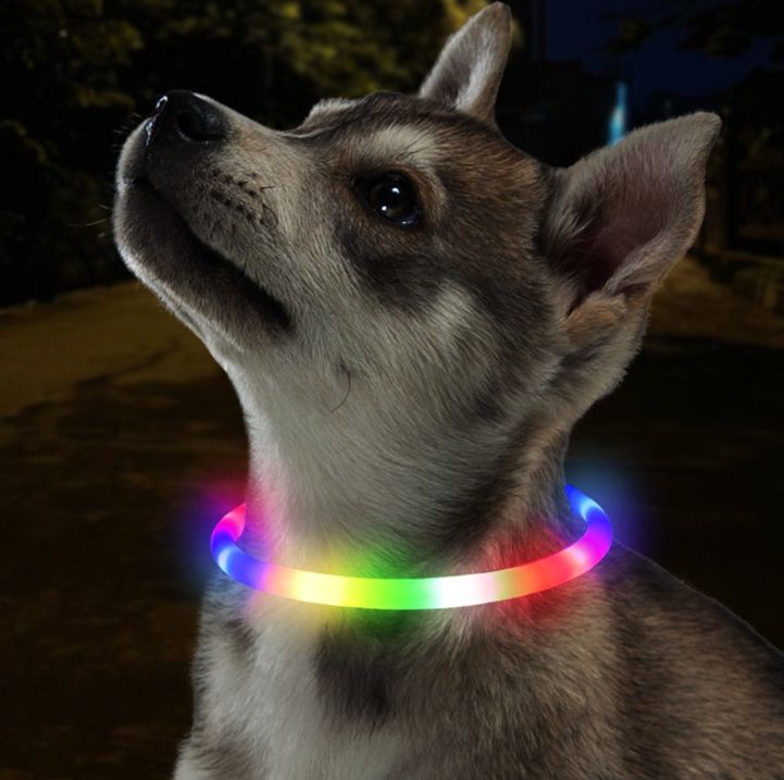 犬首輪 USB充電式 カラフルLED 発光パターン4種 夜間安全首輪