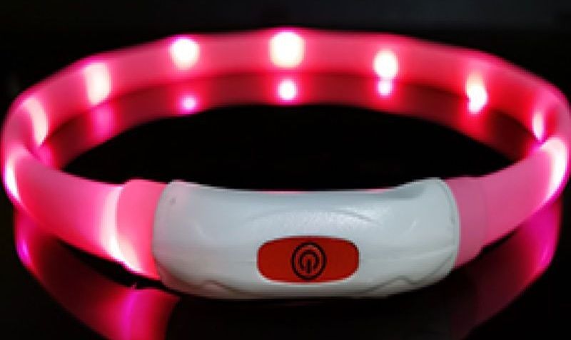 夜間安全光る犬首輪充電式