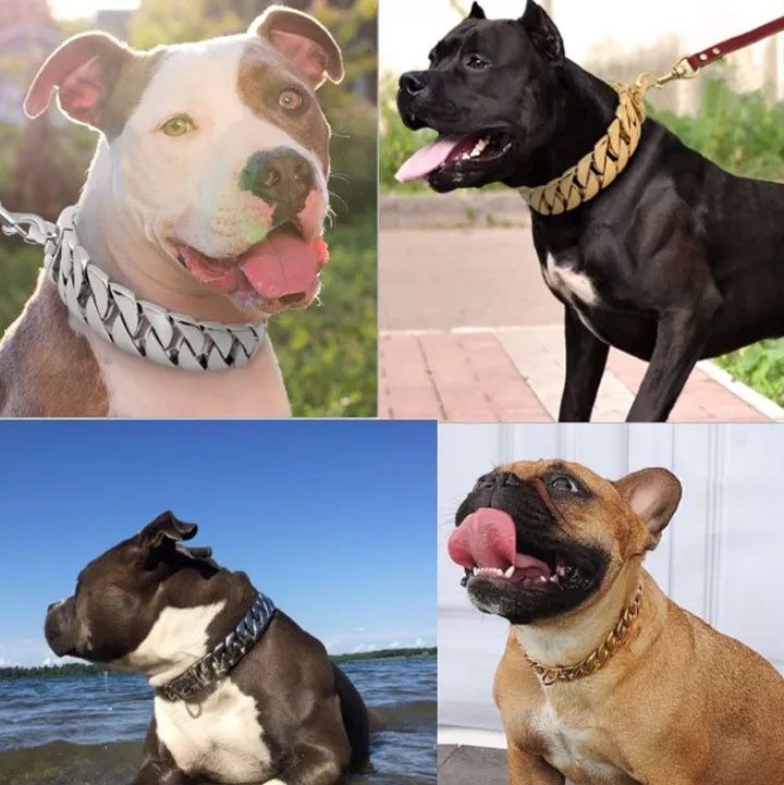 犬首輪 高級感溢れる幅広喜平チェーン犬首輪