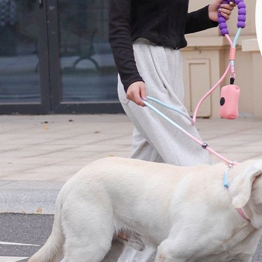 犬首輪 快適散歩多機能犬首輪とリードセット