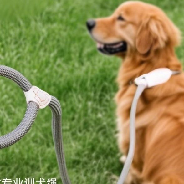 犬首輪 ロープ編み込み一体型訓練用犬首輪リードセット